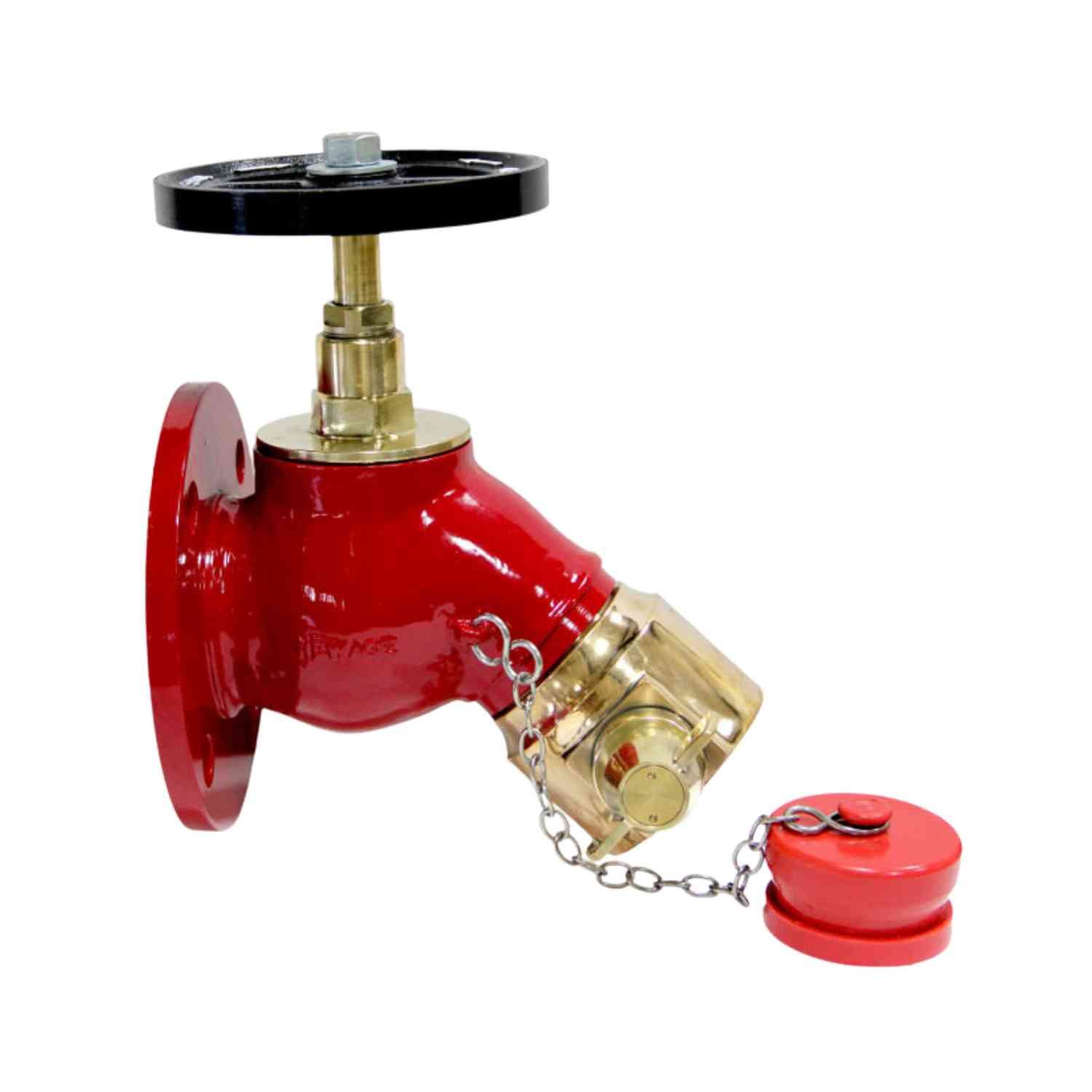 Buy Newage Flanged Bib Nose Hydrant Valve Gunmetal