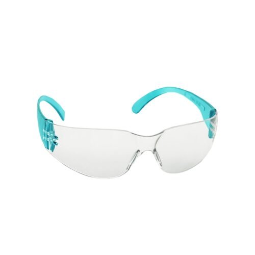 VENUS – G 102 CHC -AF | Clear With Blue Temple Safety Goggles | Pack Of 20