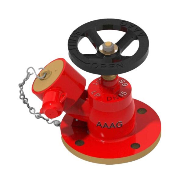 AAAG G104 BS Landing Valve Wet riser