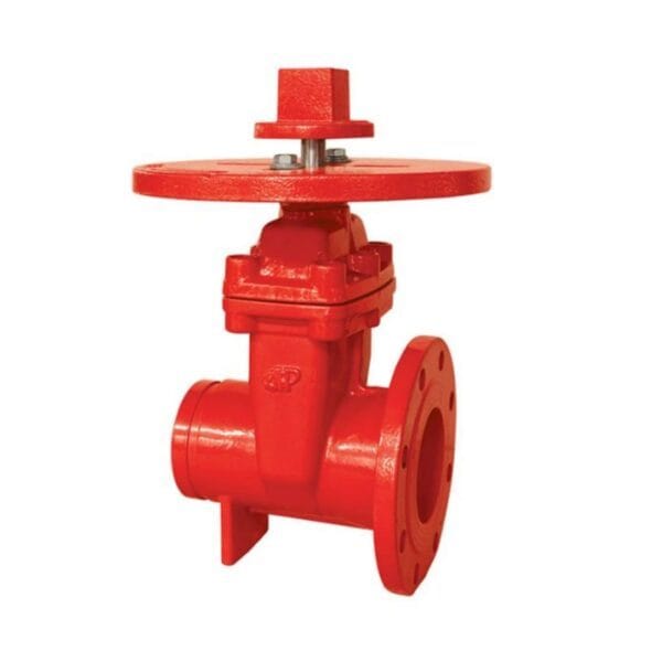 Newage 200PSI Gate Valve Flanged Grooved End