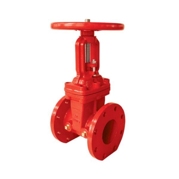 Newage 200PSI gate valve flanged end