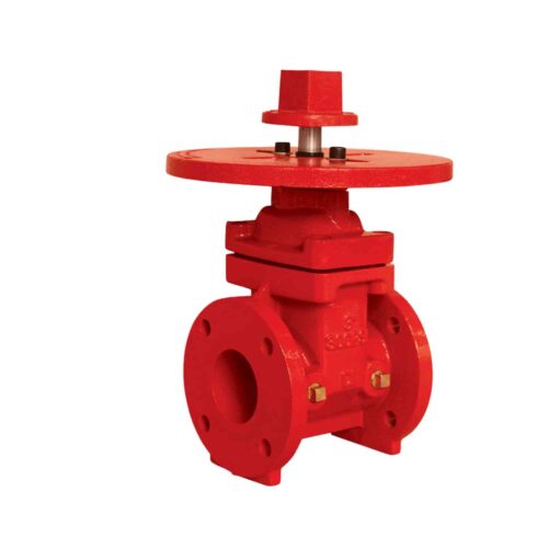 NEWAGE – 300 PSI Gate Valve NRS Type | Flanged End