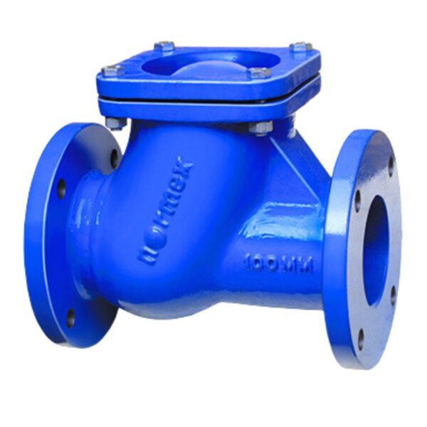 Normex Ball Type Check Valve