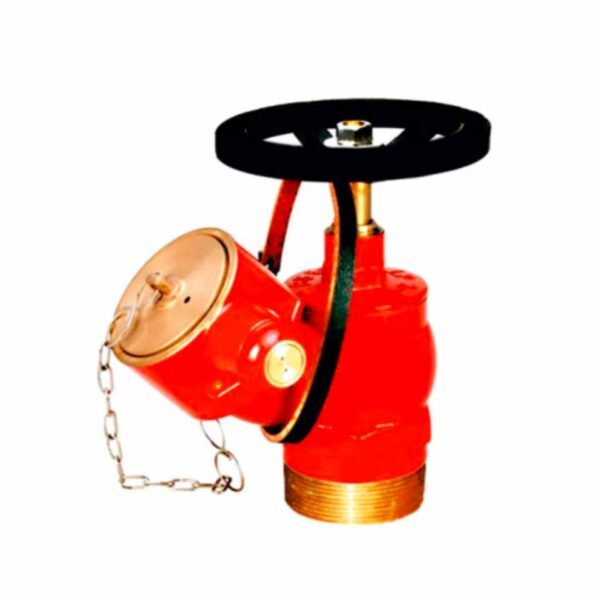 Threaded Landing Valve