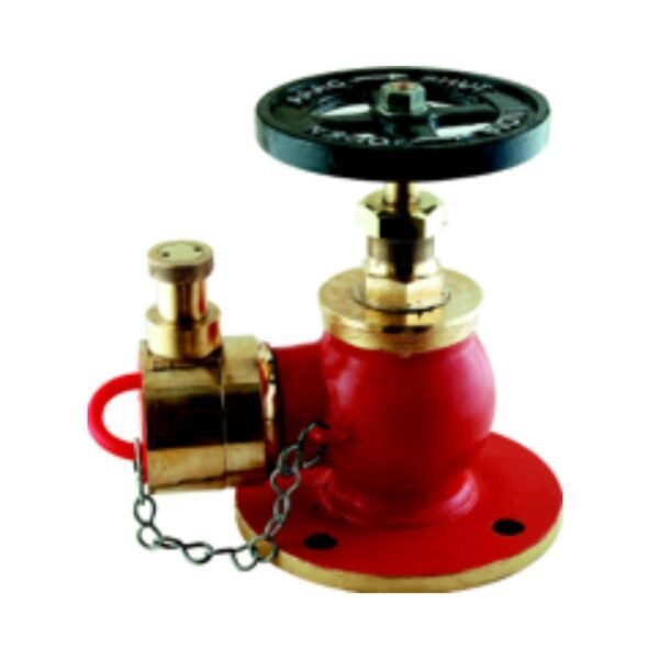 AAAG right angle landing valve