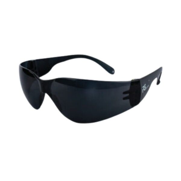 RAGA PG45 Safety Goggles