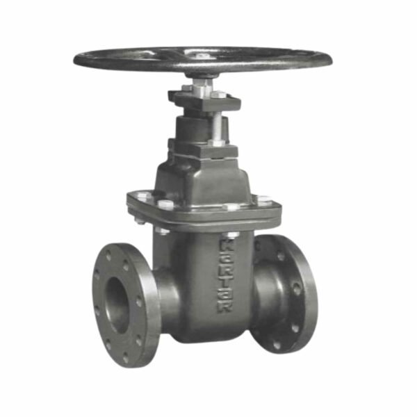 Kartar 250mm Sluice Valve