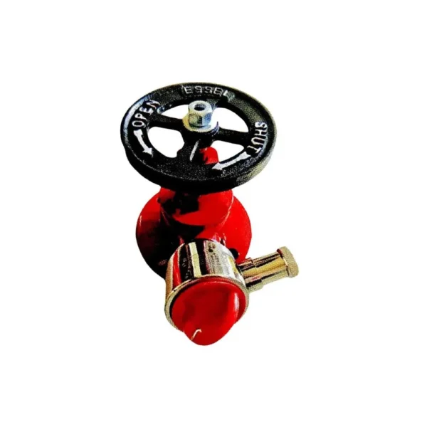 Essel SS Fire Hydrant Landing Valve, 63 mm Oblique (Type A Single & Type B Double)