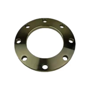 Special MS Pump Flange (32 to 150 mm, by PCD)