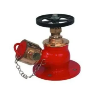 Safex SS 304 Fire Hydrant Landing Valve, 63 mm Single Outlet