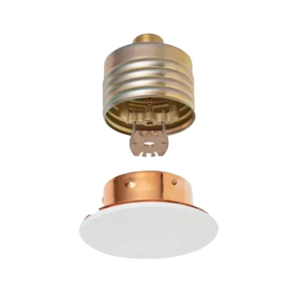 Tyco RFII Concealed Sprinkler & Cover Plate (1/2" K80)