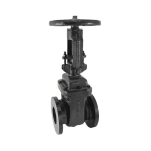 Zoloto Cast Iron Sluice Valve, PN16 (Rising & Non Rising Spindle, 50 to 300 mm)